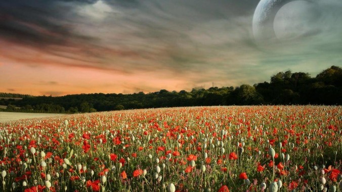 如何评价张靓颖刘宇宁《九万字》?